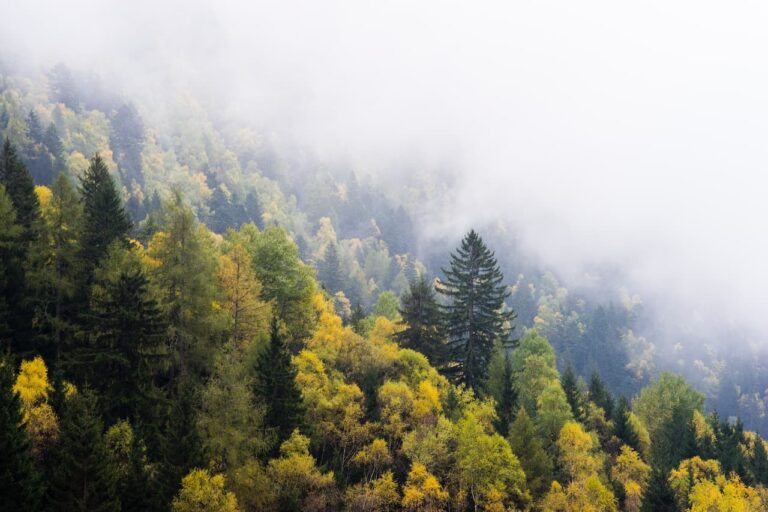 Alberto restifo y9csmronT3s unsplash