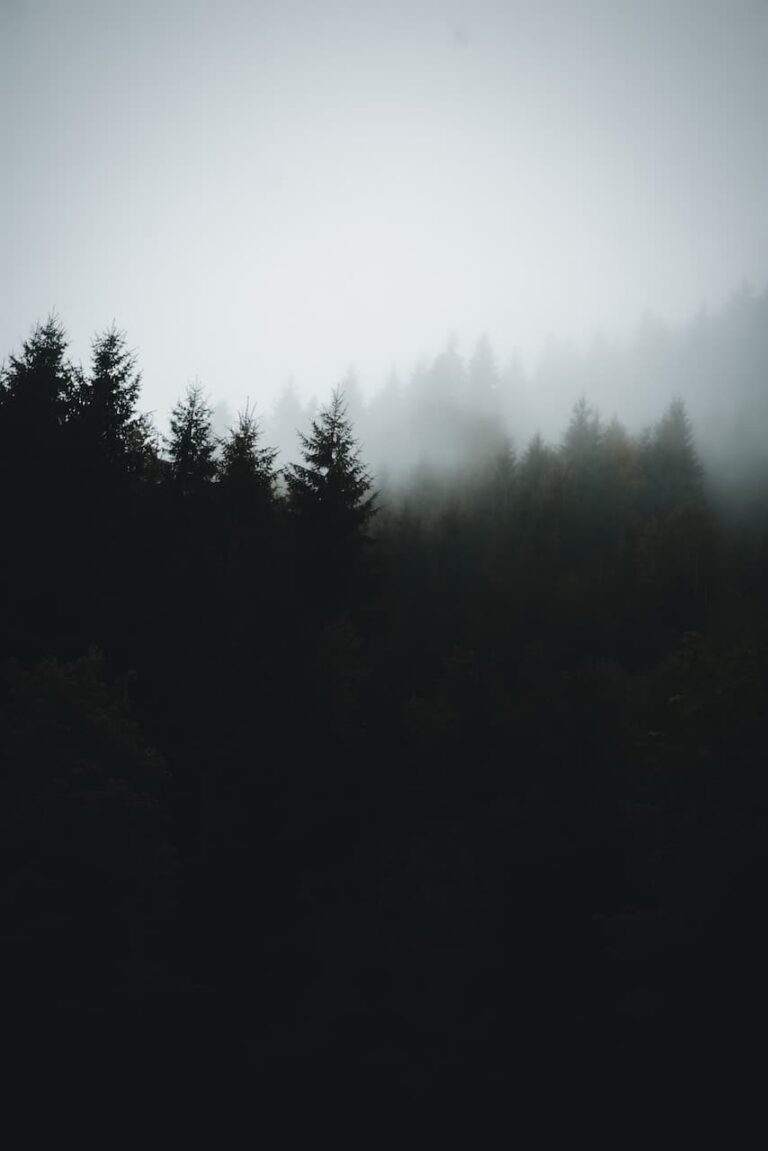 Nicolas roshylo uUvjESkFnkI unsplash