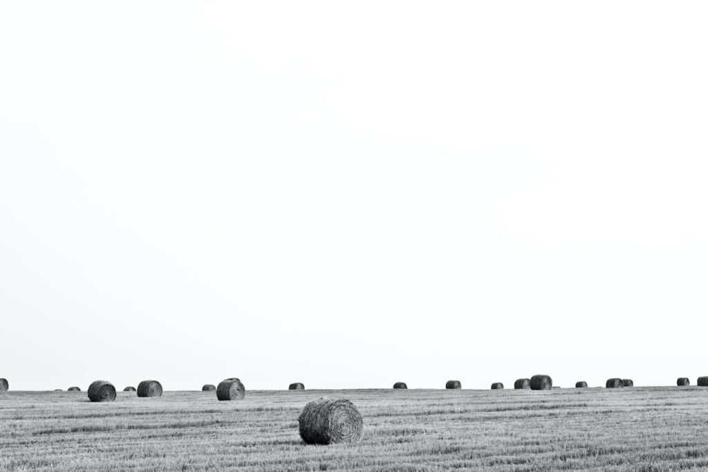 Pavel voinov 2f CnEeZsVg unsplash